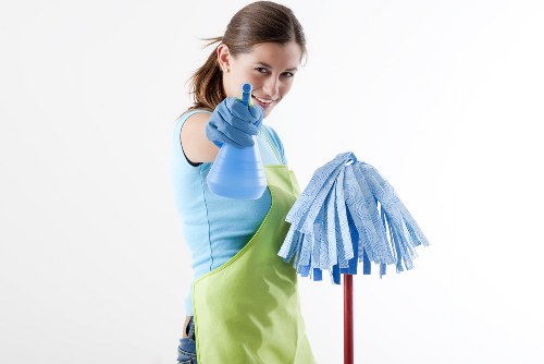 Professional oven cleaning service in a Kingston home kitchen
