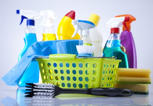 Carpet cleaner preparing a Kingston home living room carpet for deep cleaning