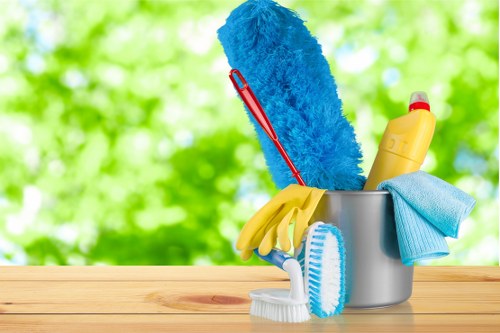 Deep Cleaning Kingston modern slavery statement introduction with zero-tolerance commitment