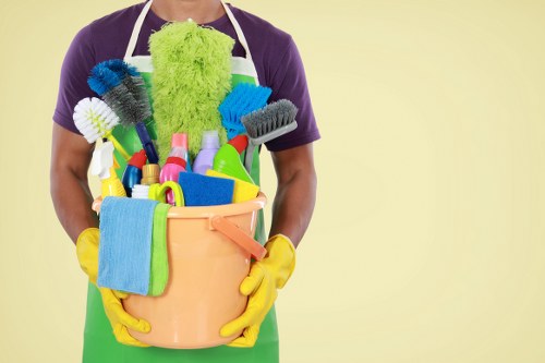 Deep cleaning service for Kingston homes and apartments