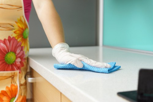 Support for accessibility requests on a Deep Cleaning Kingston page
