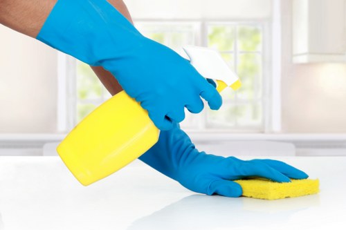 Clean oven doors, racks, and cooker surfaces after a professional service