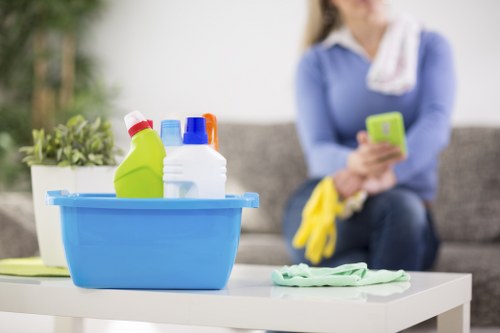 Domestic cleaning service in a Kingston flat