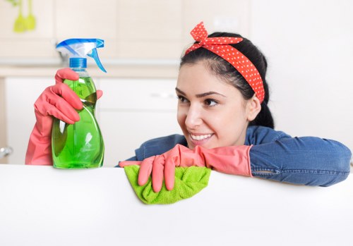 Local hard floor cleaning service for homes and businesses in Kingston