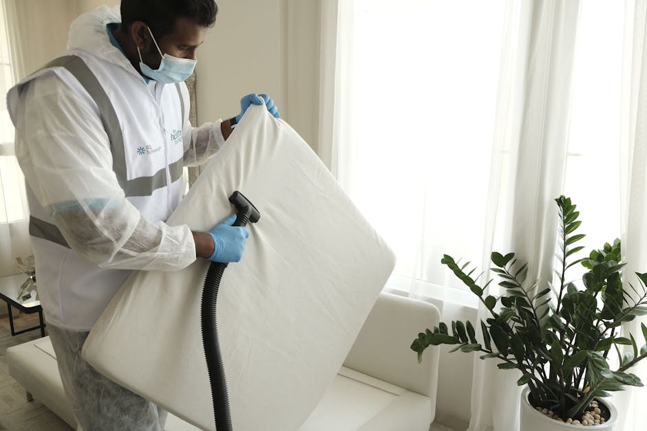 A professional cleaner wearing a mask, gloves, and a protective gown is using a handheld vacuum or steam cleaner on a white mattress in a well-lit living room. The room features sheer white curtains allowing natural light to fill the space and a potted plant with lush green leaves placed near the window. The mattress appears clean and in good condition, with no visible stains or dust, emphasizing the importance of surface cleaning and sanitisation as part of deep cleaning services, such as those offered by Deep Cleaning Kingston, to address common issues with mattress hygiene in residential settings.